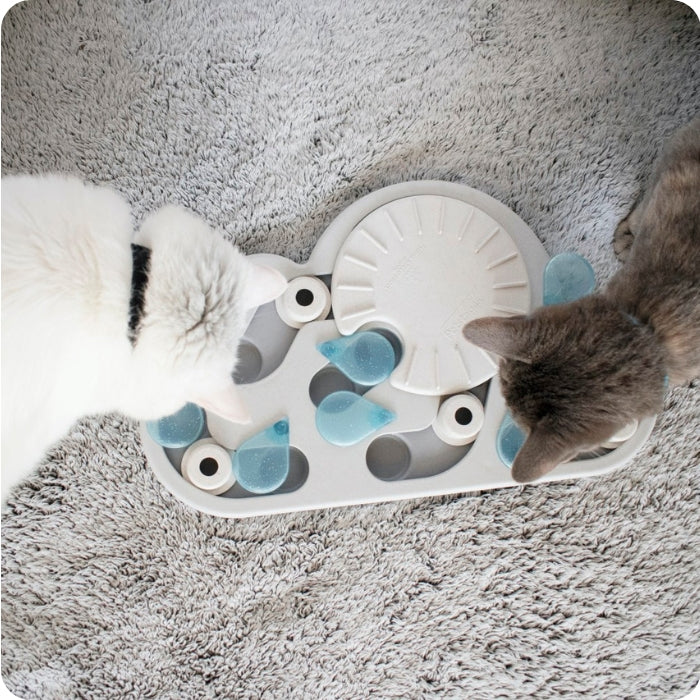 2 gatos jugando con Juguete cognitivo para gatos tipo Puzzle Nivel 3 (avanzado) Rainy Day de Nina Ottosson al mismo tiempo