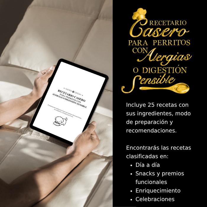 Recetario para Perros con Digestión Sensible — 25 Recetas Caseras