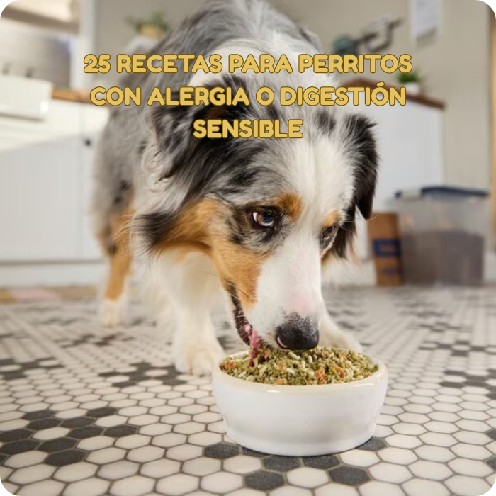 Recetario para Perros con Digestión Sensible — 25 Recetas Caseras