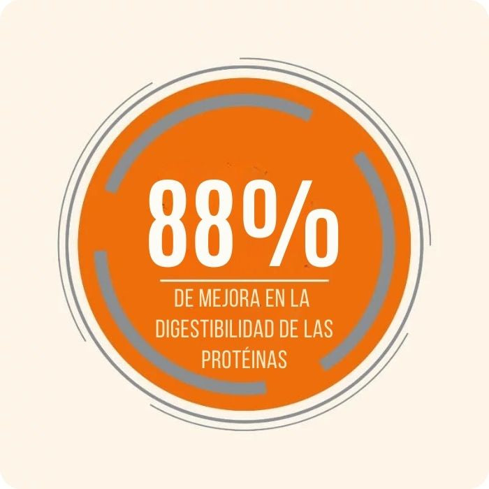 Con Protect Digest de Pronutrition los gatos presentan hasta un 88% de mejora en la digestibilidad de las proteínas.