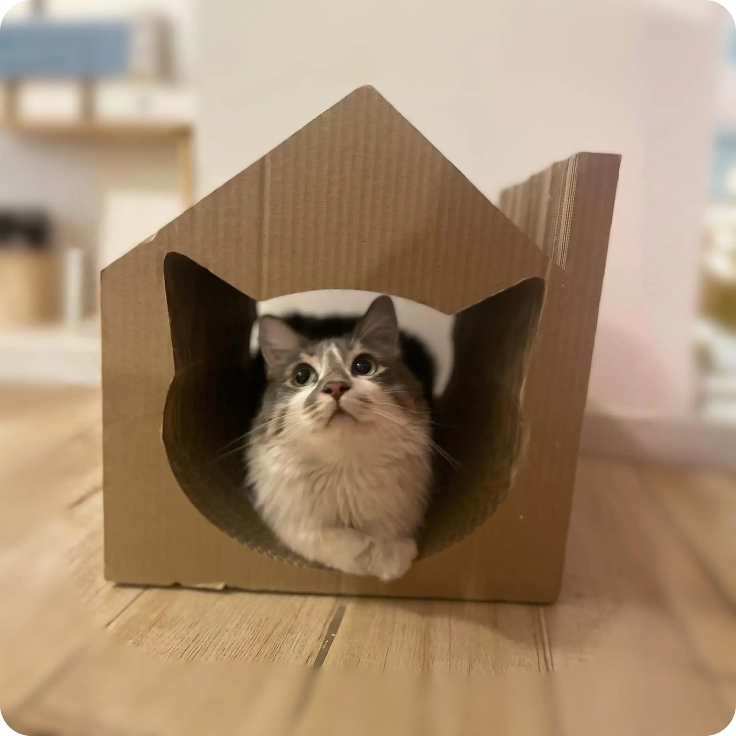 Rascador Tunel para Gatos Cartopuzzle | Cartón Corrugado de Alta Densidad