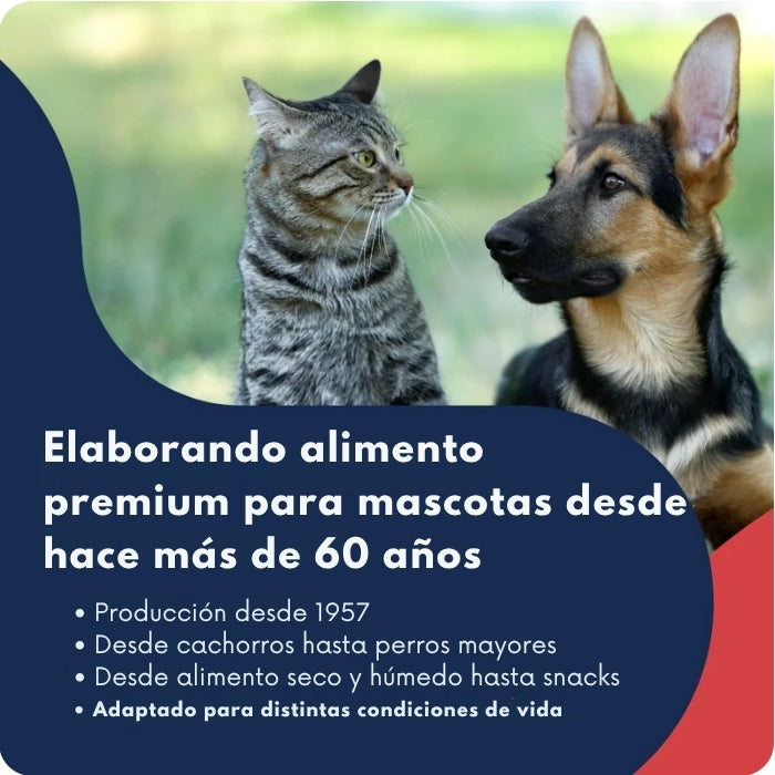 Acerca de Dr. Clauders 