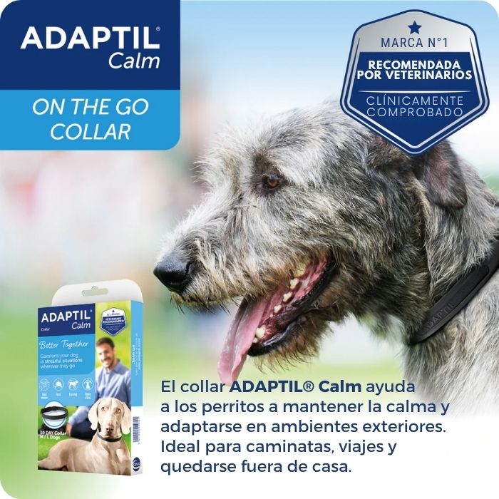Caracteristicas Collar Adpatil Karu Auka