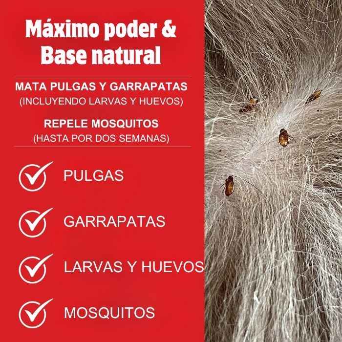 Flea and Tick Skouts Honor Spray Antiparasitario para Perro y Hogar