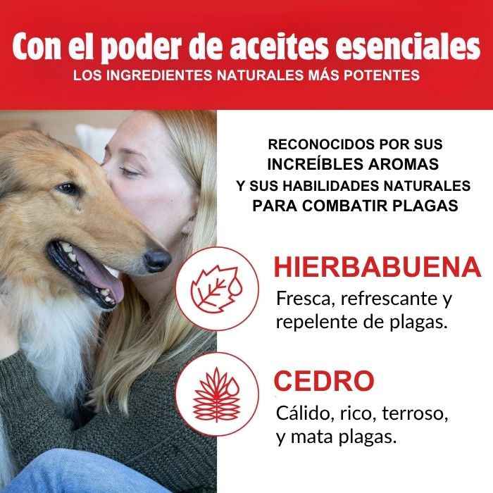 Flea and Tick Skouts Honor Spray Antiparasitario para Perro y Hogar