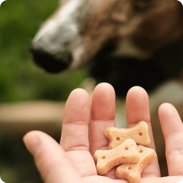 Galleta natural libre de granos Beco Cashew Castaña de Caju en la mano