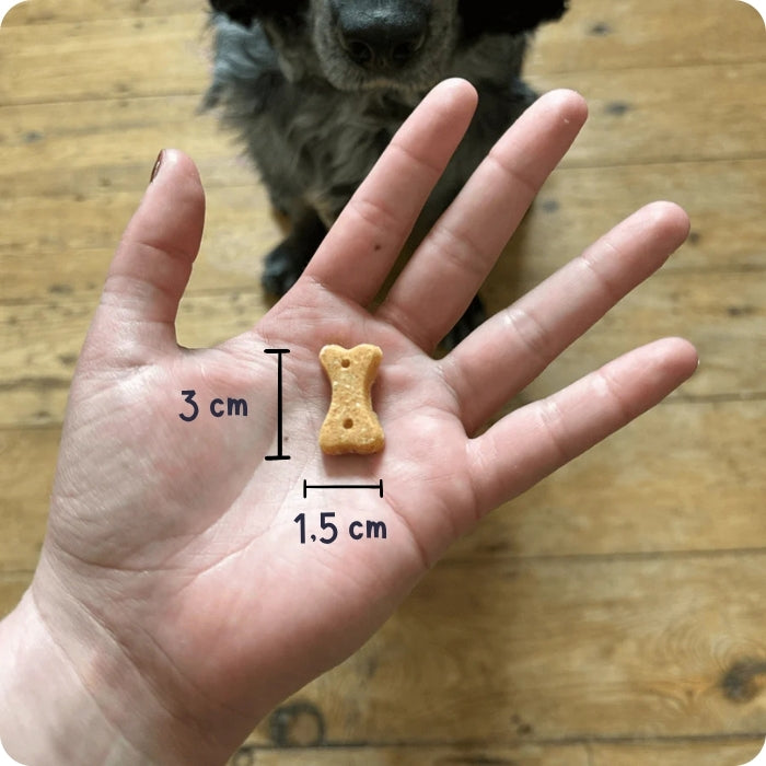 Tamaño galleta libre de granos Beco variedad Cashew Castaña de Caju