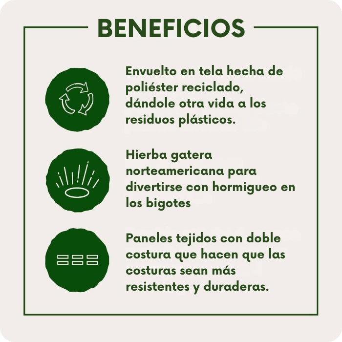 Beneficios de los peluuches Beco para gatos