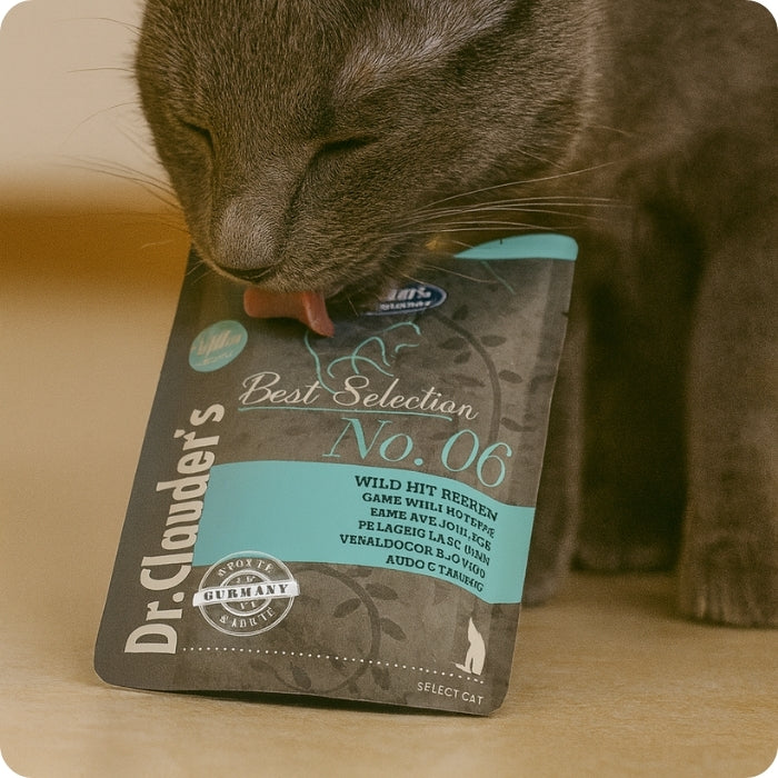 Gato adulto comiendo alimento húmedo completo para gatos Best Selection Dr. Clauder's No. 06 Venao y calabaza