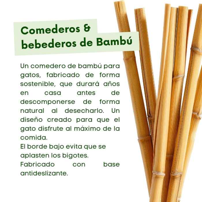 Plato bajo para gatos de bambú | Bowl Cat Beco