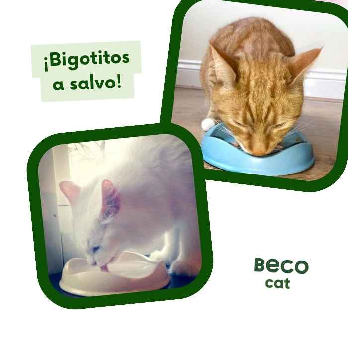 Plato bajo para gatos de bambú | Bowl Cat Beco
