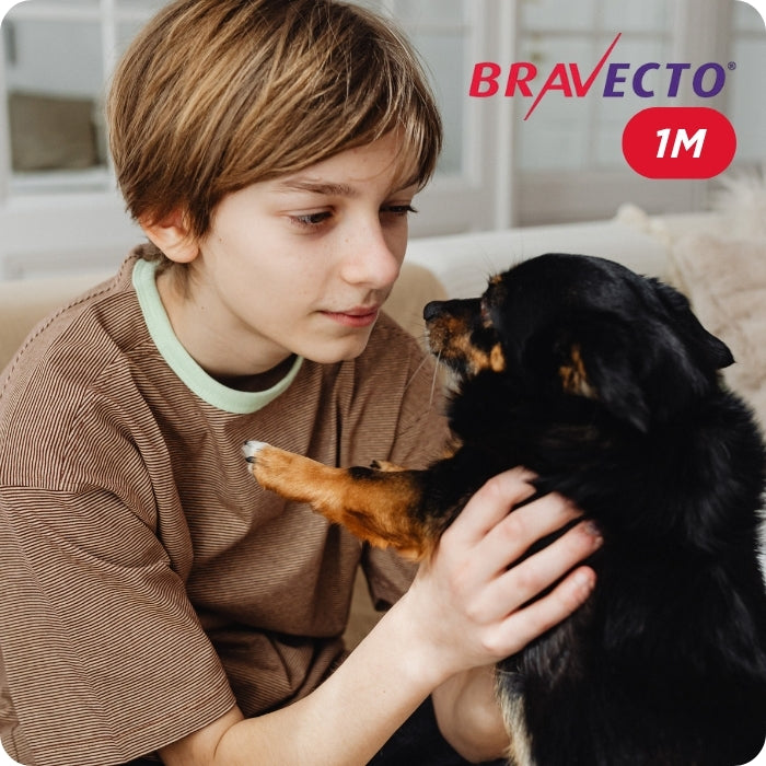 Bravecto 1M protege a tu familia