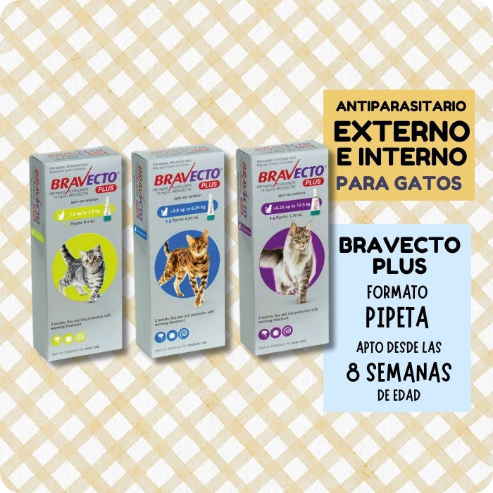 Bravecto Plus Gato Variedades