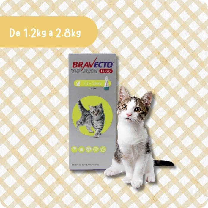 Bravecto Plus de 1.2 a 2.8kg