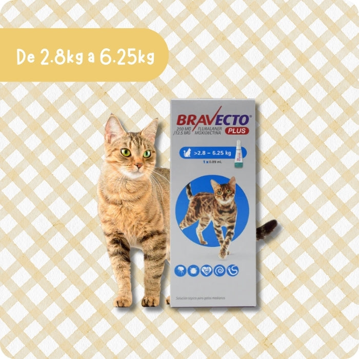Bravecto Plus de 2.8 a 6.25