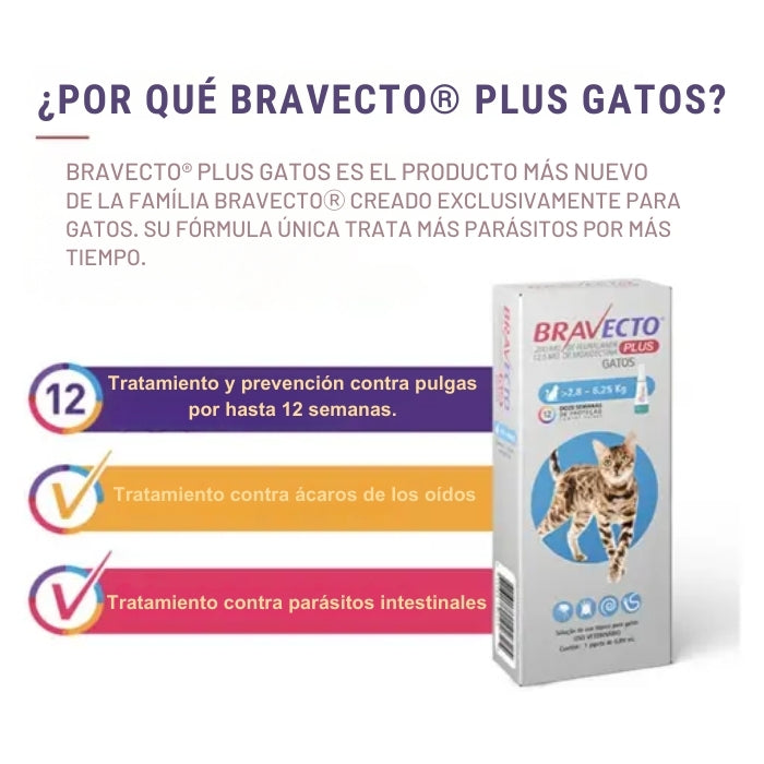 Por qué elegir Bravecto Plus para tu gato