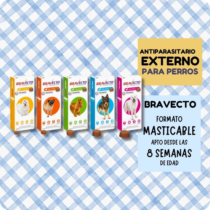 Bravecto antiparasitario en Karu Auka