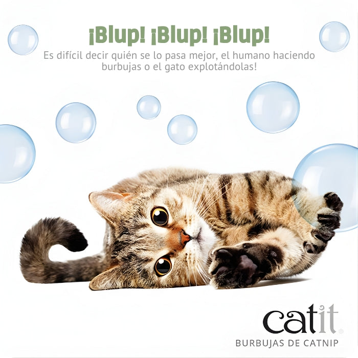 Burbujas de Catnip para gatos: diversión para toda la familia.