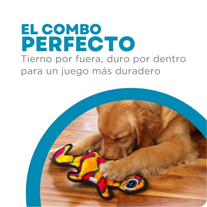 Gecko M Durablez Outward Hound