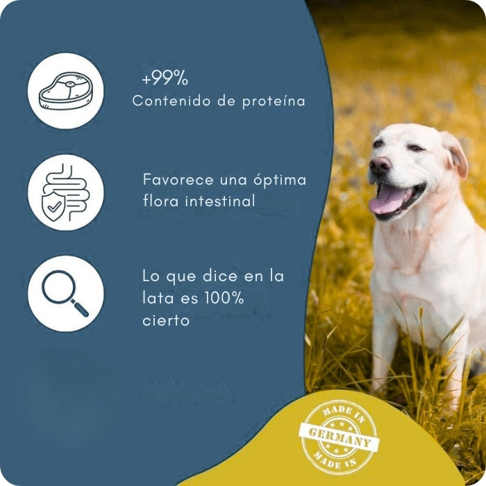 Características alimento húmedo completo para perros monoproteico 100% Salmon