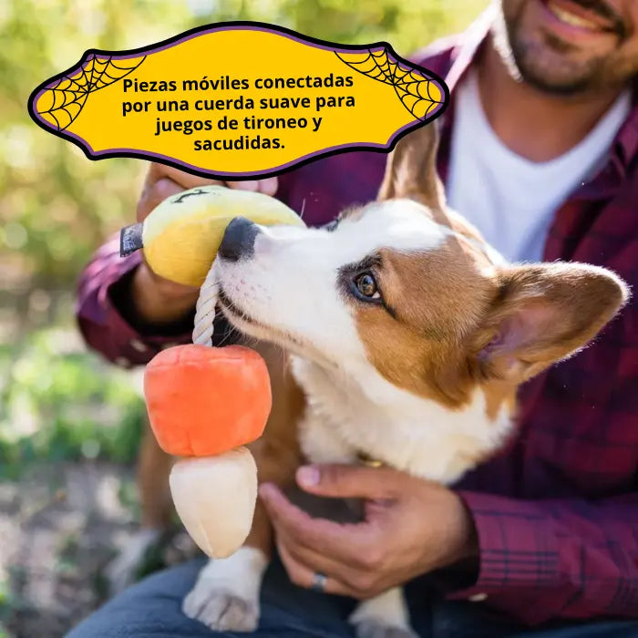 Juguete para Perros con Cuerda Halloween PLAY Howling Haunts Caramelo de Maiz