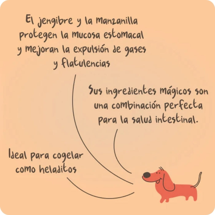 Propiedades Suplemento digestivo para perros Carrot Power Winga