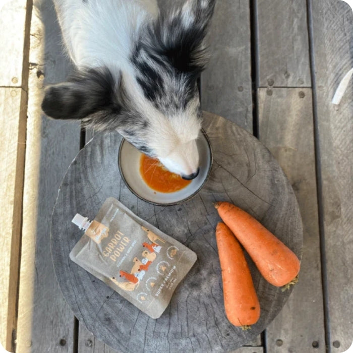 Suplemento digestivo para perros Carrot Power Winga en uso