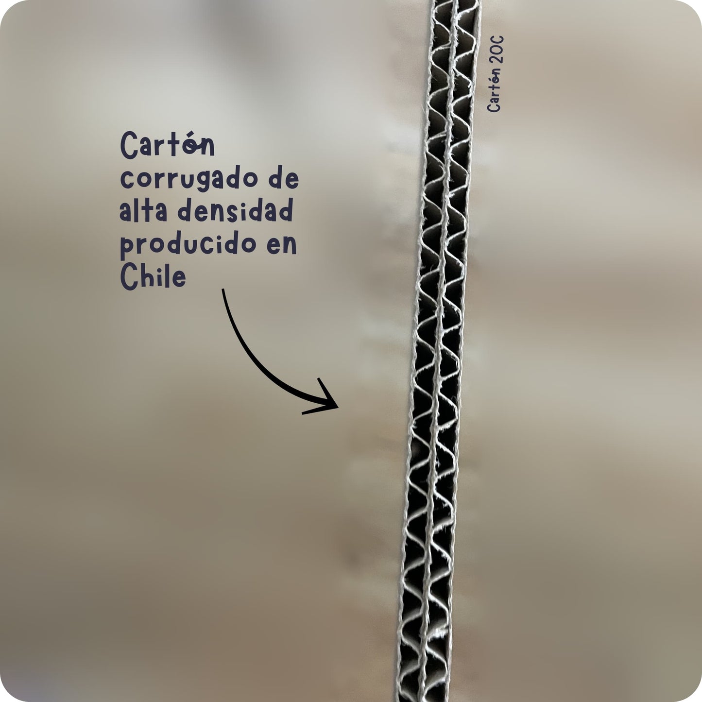 Rascador Tunel para Gatos Cartopuzzle | Cartón Corrugado de Alta Densidad