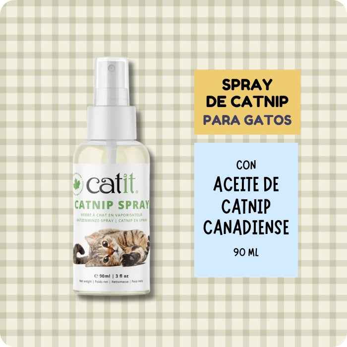 Catnip en spray 90ml para gatos | Catit
