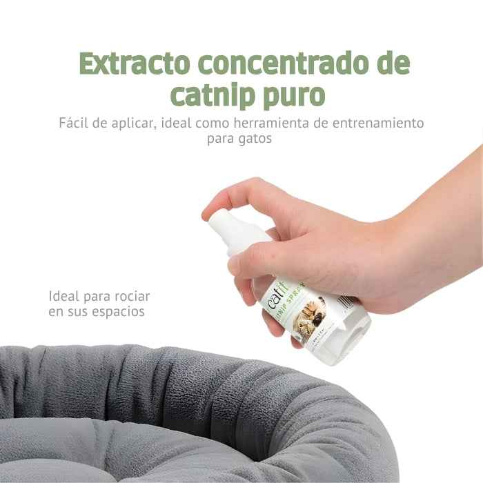 Catnip en spray 90ml para gatos | Catit