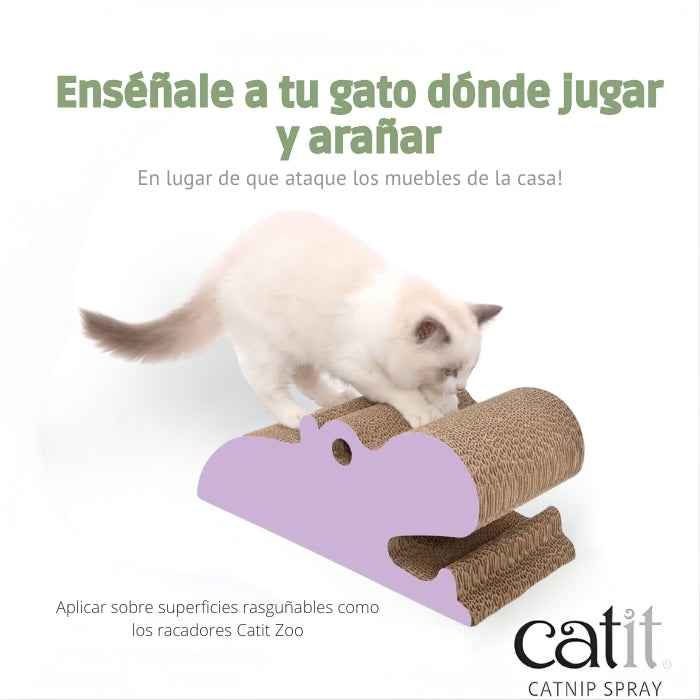 Catnip en spray 90ml para gatos | Catit
