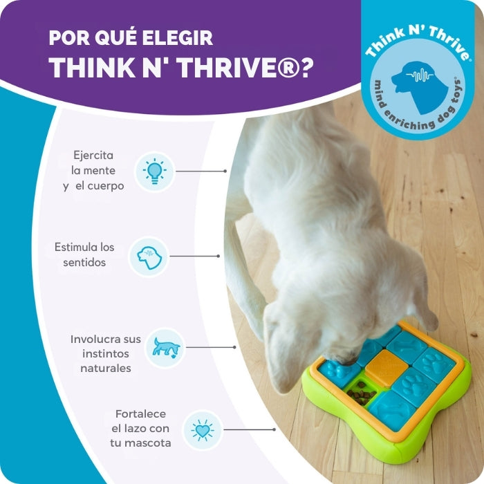 Por qué elegir puzzles Think n' thrive como el Challenge Slider Nivel 2 de Nina Ottosson.