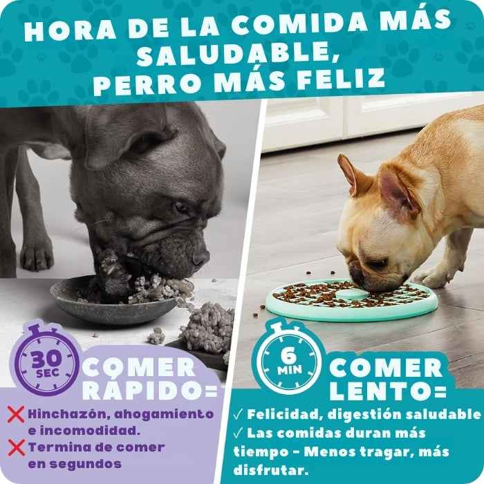Comedero lento estilo bandeja Outward Hound