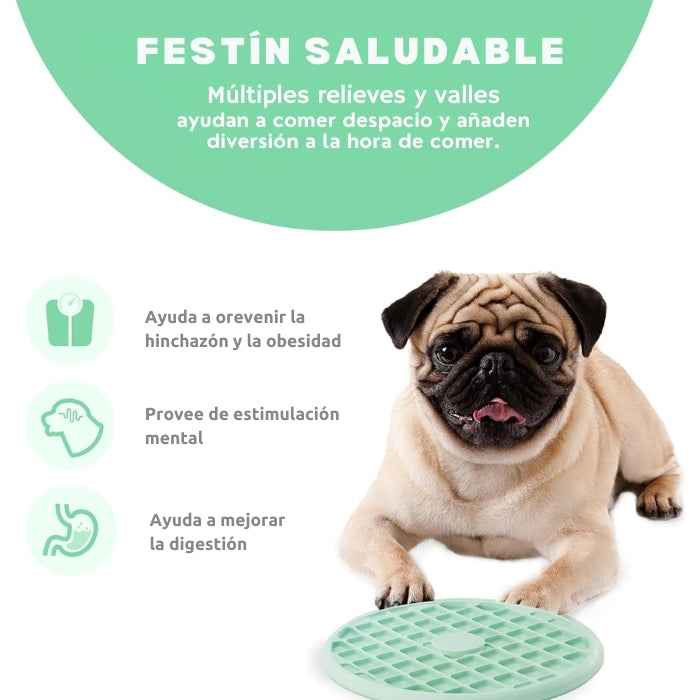 Comedero lento estilo bandeja Outward Hound