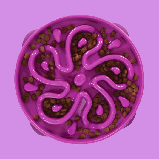 Comedero lento talla L Outward Hound