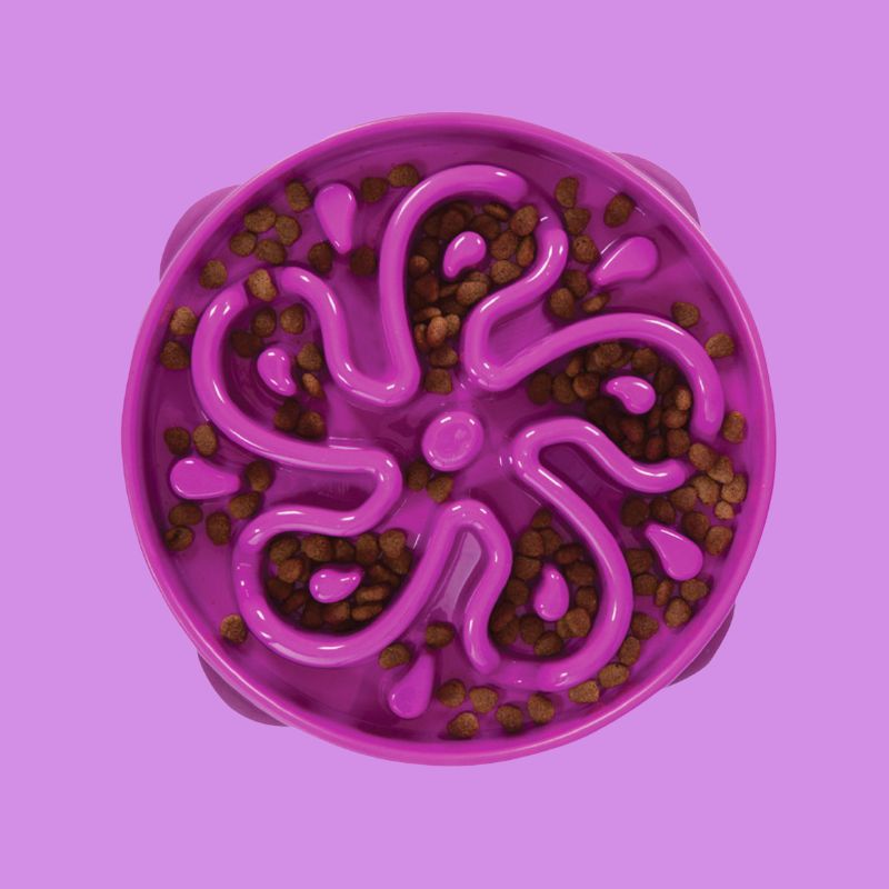 Comedero lento talla M Outward Hound