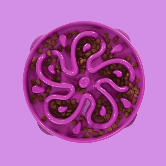 Comedero lento talla M Outward Hound