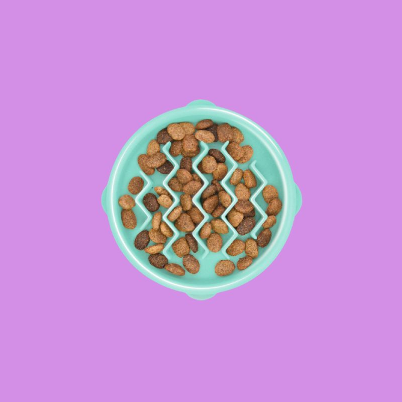 Comedero lento talla S Outward Hound