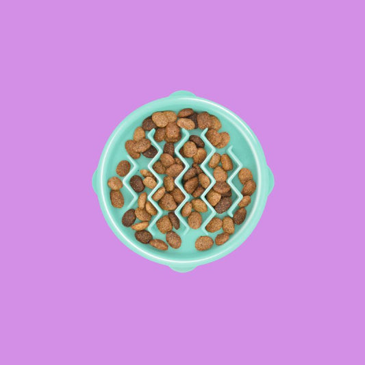 Comedero lento talla S Outward Hound