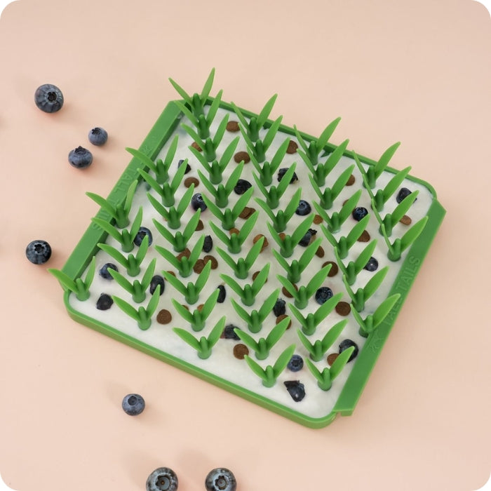 No es necesario comprar alimento especial. En tu despensa hay variedad de opciones saludables para tu perrito también, puedes darle un poco de yogurth natural sin lactosa, unos arándanos y voila. Una receta digna de chef perruno. Los comederos lentos olfativos de Tall Tails Foraging Mat serán tus nuevos aliados en la cocina