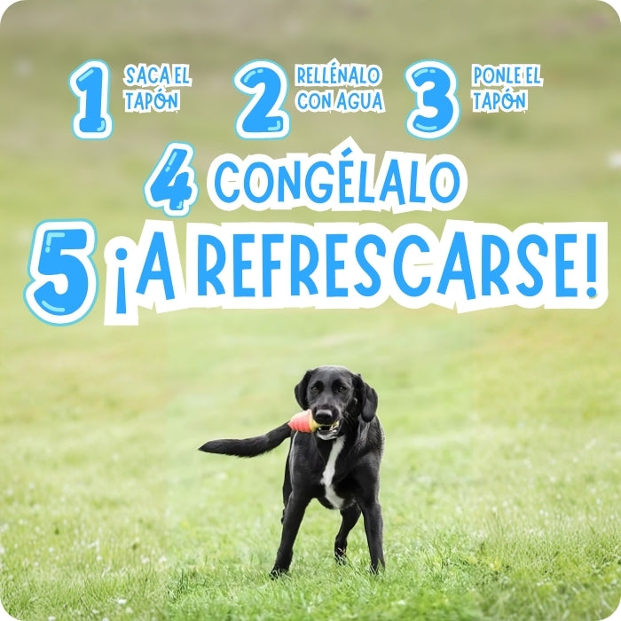 Cómo rellenar tu Ice Cone de GF Pet