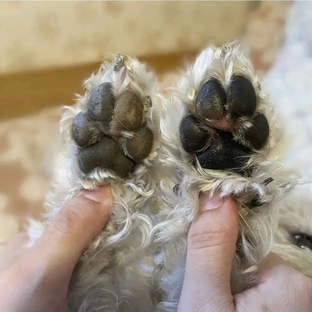 Humectante nanai FPS+30 mamitierra