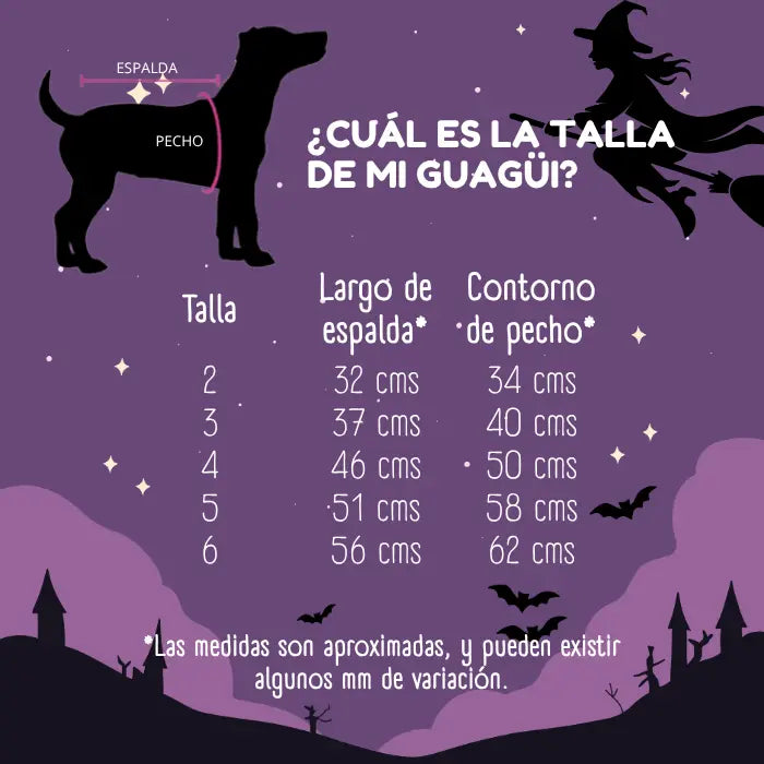 Disfraz de Brujita para perros y gatos | Confección Nacional