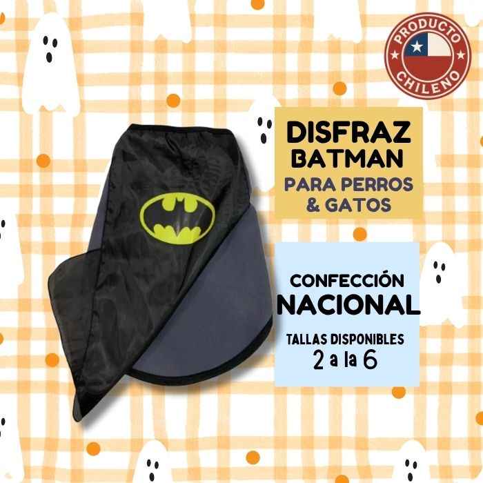 Disfraz Batman