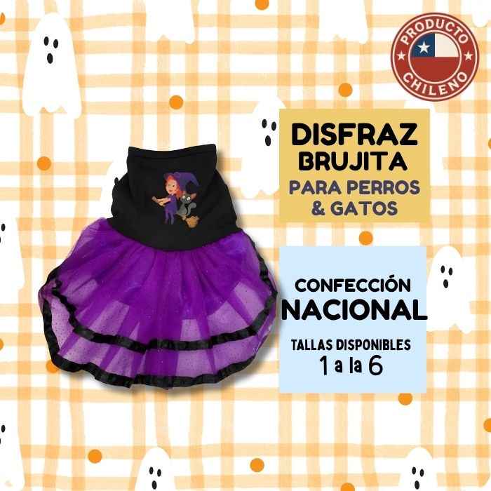 Disfraz Brujita