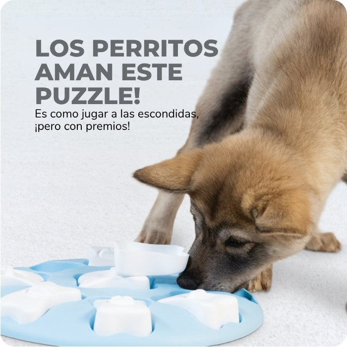 Los perros aman este juguete cognitivo tipo puzzle nivel 1 Puppy Dog Smart Nina Ottosson