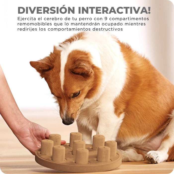 Ejercita el cerebro de tu perro con juguetes cognitivos tipo puzzle como el Dog Smart Composite de Nina Ottosson