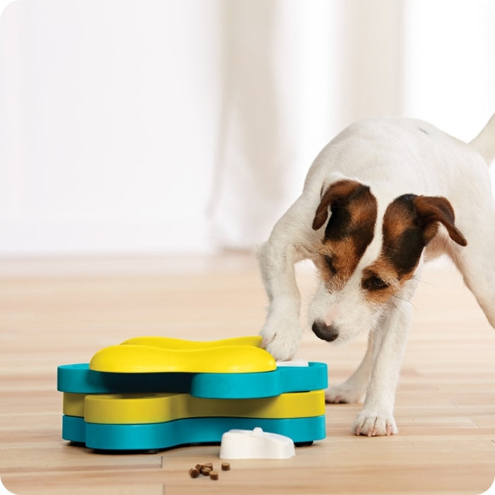 Perro de talla pequeña usando Dog tornado nivel 2 de Nina Ottosson