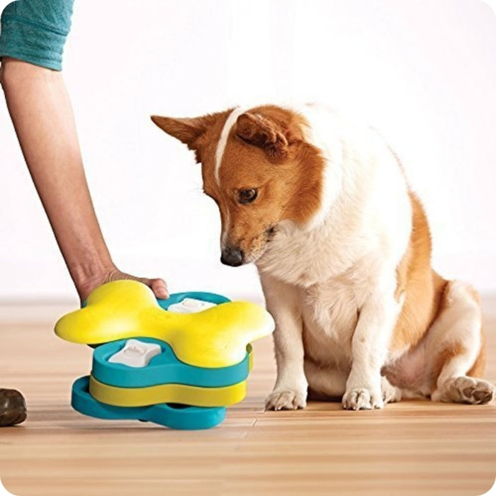 Perro de talla mediana usando juguete cognitivo Dog Tornado Puzzle Nivel 2 de Nina Ottosson 