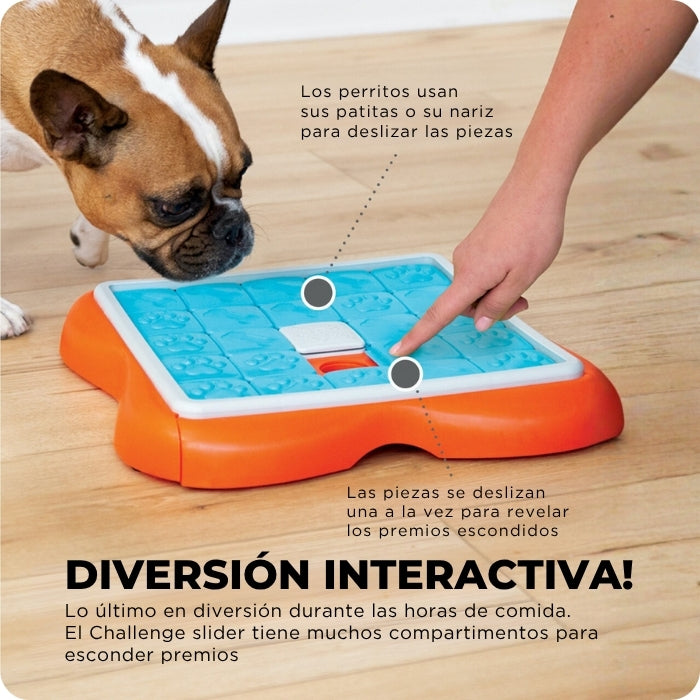 Como funciona el puzzle interactivo para perros Dog Challenge Slider de Nina Ottosson. Las piezas de deslizan, y los perros deben usar sus patas y nariz para encontrar las recompensas ocultas